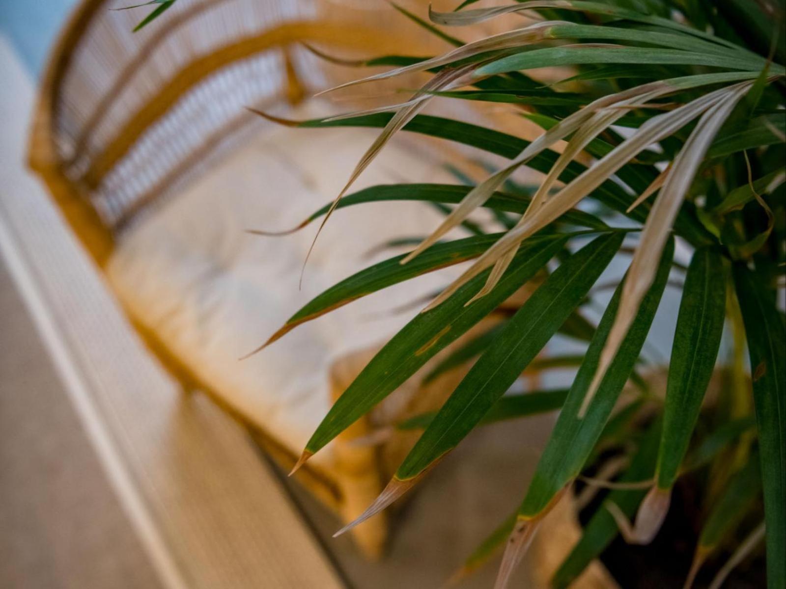 Eleven Hotel Plettenberg Bay Room photo